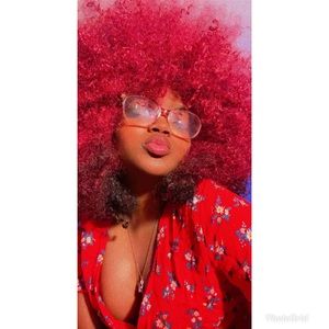 Meet your Posher, Dion